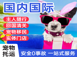 广州白云机场物流国际宠物托运 【国